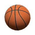 Ball (Basketball) NH Icon.png