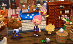 Example of Joan's Happy Home Designer house