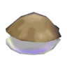 pearl oyster