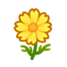 yellow cosmos