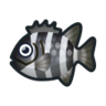 Barred knifejaw
