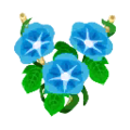 Blue Morning Glory PC Icon.png
