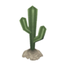 desert cactus