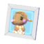 Ellie's pic