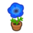 Blue-Windflower Plant NH Inv Icon.png