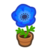 Blue-Windflower Plant NH Inv Icon.png