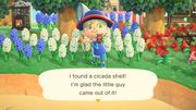 Cicada shell/Gallery - Animal Crossing Wiki - Nookipedia