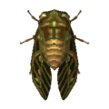 Evening Cicada NL Model.png