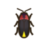 Firefly NH Icon.png
