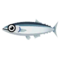 Pacific Saury PC Icon.png