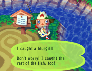 Caught Bluegill PG.png