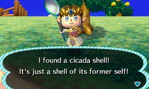 Caught Cicada Shell NL.jpg