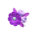 Flashy hairpin's Purple variant