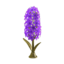Hyacinth Lamp