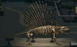 NH Dimetrodon Museum.jpg