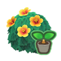 Yellow-Hibiscus Start NH Icon.png