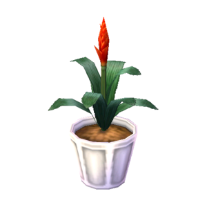 Bromeliaceae NL Model.png