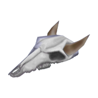 Cow skull