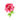 Gothic Red Rose PC Icon.png