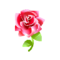 Gothic Red Rose PC Icon.png