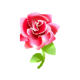 Gothic Red Rose PC Icon.png