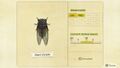 NH Critterpedia Giant Cicada Southern Hemisphere.jpg