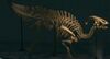 NH Parasaurolophus Museum.jpg