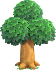 Oak Tree NH.png