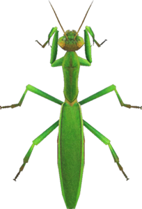 In-game image of mantis