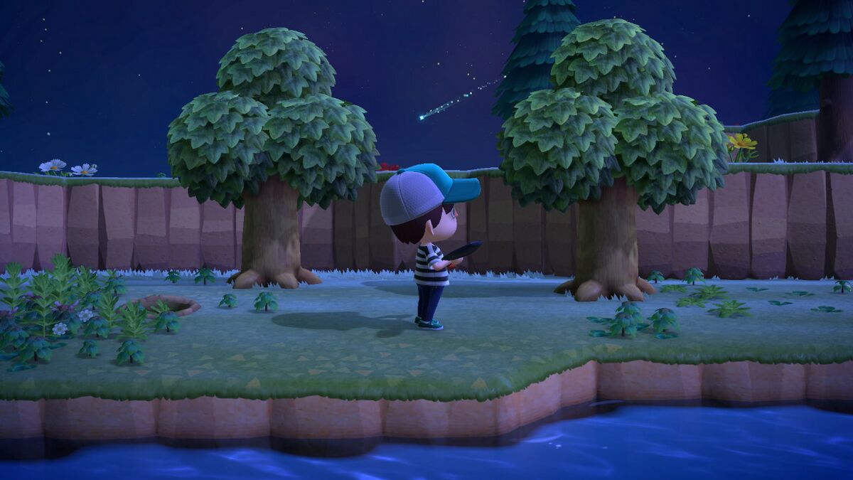 FileNH Meteor Shower 2.jpg Animal Crossing Wiki Nookipedia