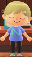 NH Player Dozing.png