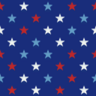Polka-Dot Print - Fabric 10 NH Pattern.png