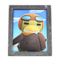 Boomer's Photo (Silver) NH Icon.png
