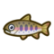 Cherry Salmon NH Icon.png