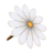 Petal Parasol PG Model.png