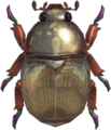 Scarab Beetle NH.png