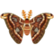 Atlas Moth PC Icon.png