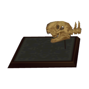 Dimetrodon Skull CF Model.png