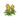 Yellow Guzmania PC Icon.png