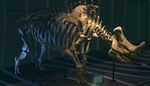 NH Megacerops Museum.jpg