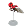 ladybug model