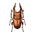 Saw Stag NL Model.png