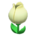 Tulip surprise box's White variant