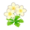 White Buttercups PC Icon.png