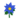 Blue Poinsettia PC Icon.png
