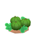 Ripe Green-Pumpkin Plant NH Icon.png