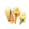 Shell Partition (Yellow) NH Icon.png