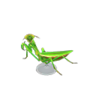mantis model