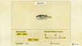 NH Critterpedia Blowfish Northern Hemisphere.jpg
