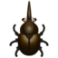 neptune beetle